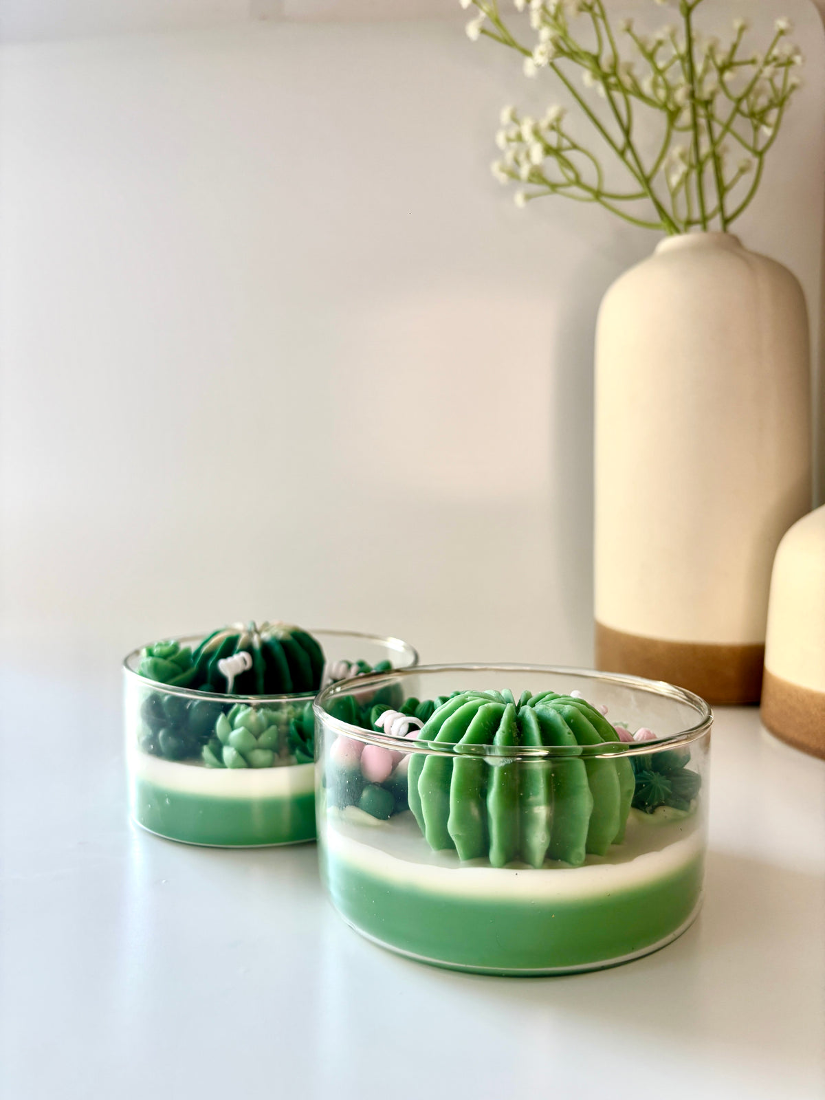 Cactus Garden Glow