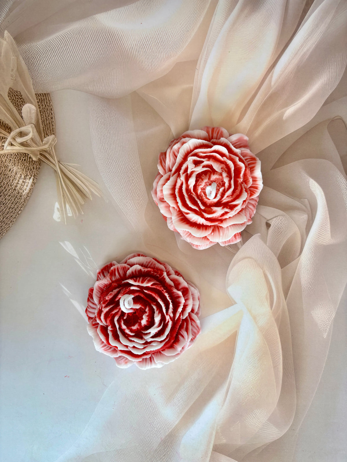Petals of Peony