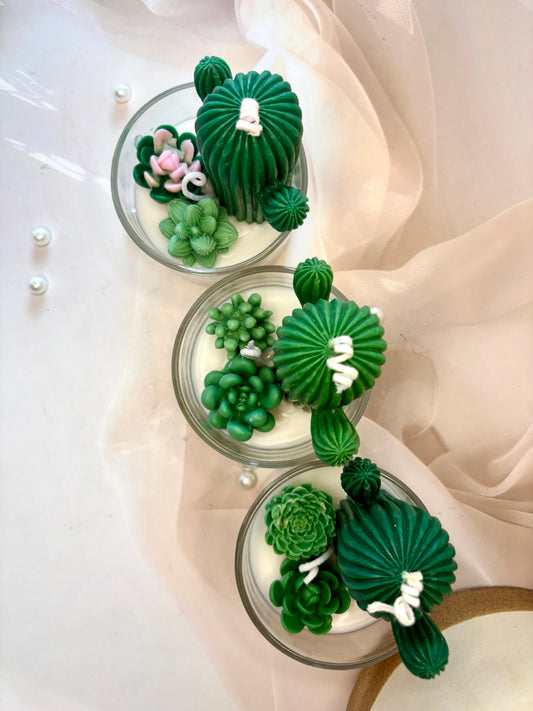 Cactus Garden Glow-Mini