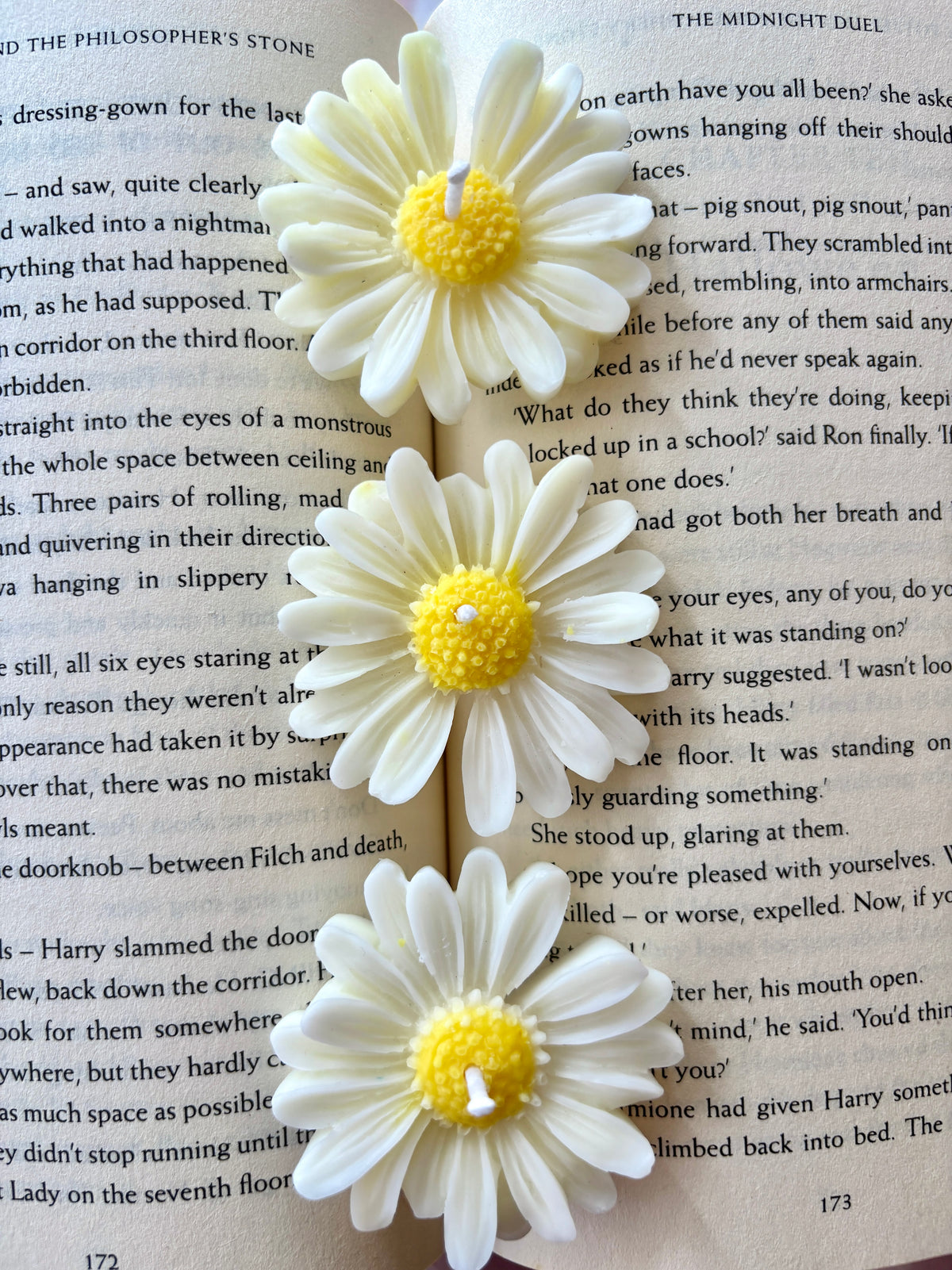 Daisy Lumiere