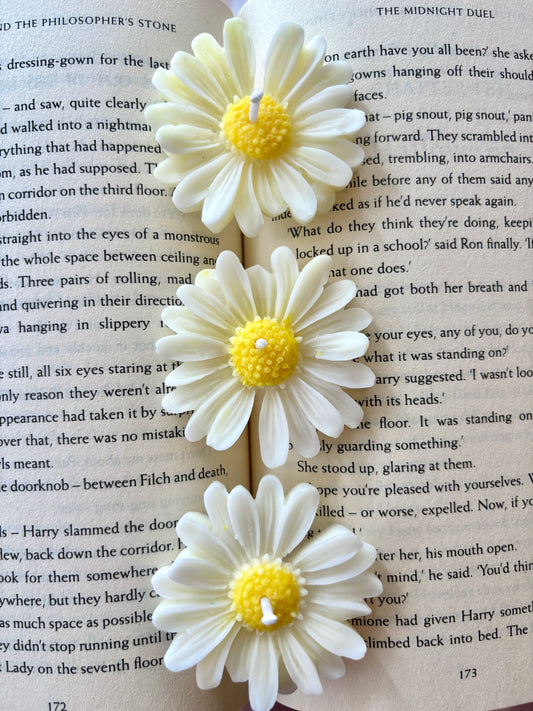 Daisy Lumiere
